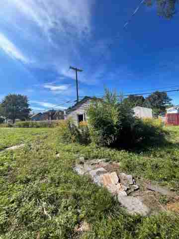 17257 bloom (12).jpg